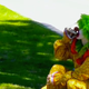 Illustration for article titled Katy Perry's Prank-Filled 'Birthday' Video Not Suitable for Children
